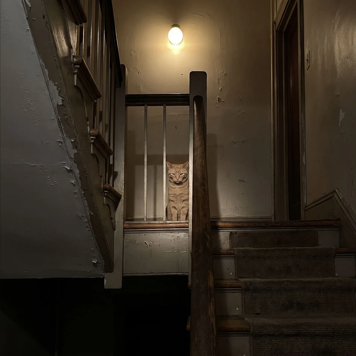 An original storybook illustration of a tiny orange cat stealing the foreground of a grand staircase scene.